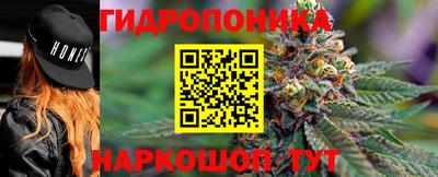 дмт Свободный