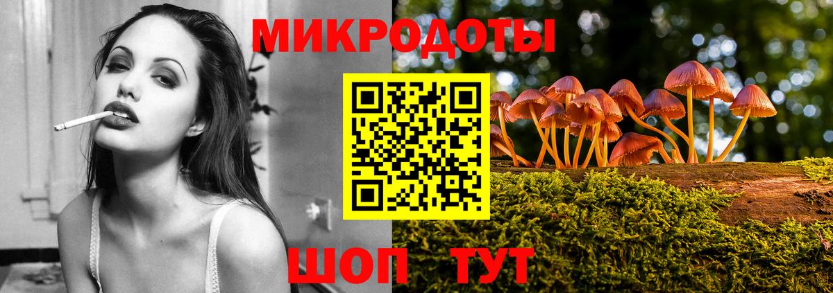 Псилоцибиновые грибы Cubensis Отрадный