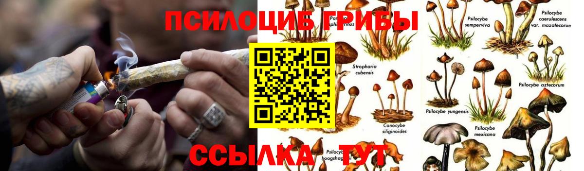 Галлюциногенные грибы ЛСД  Вход с VPN  Отрадный 